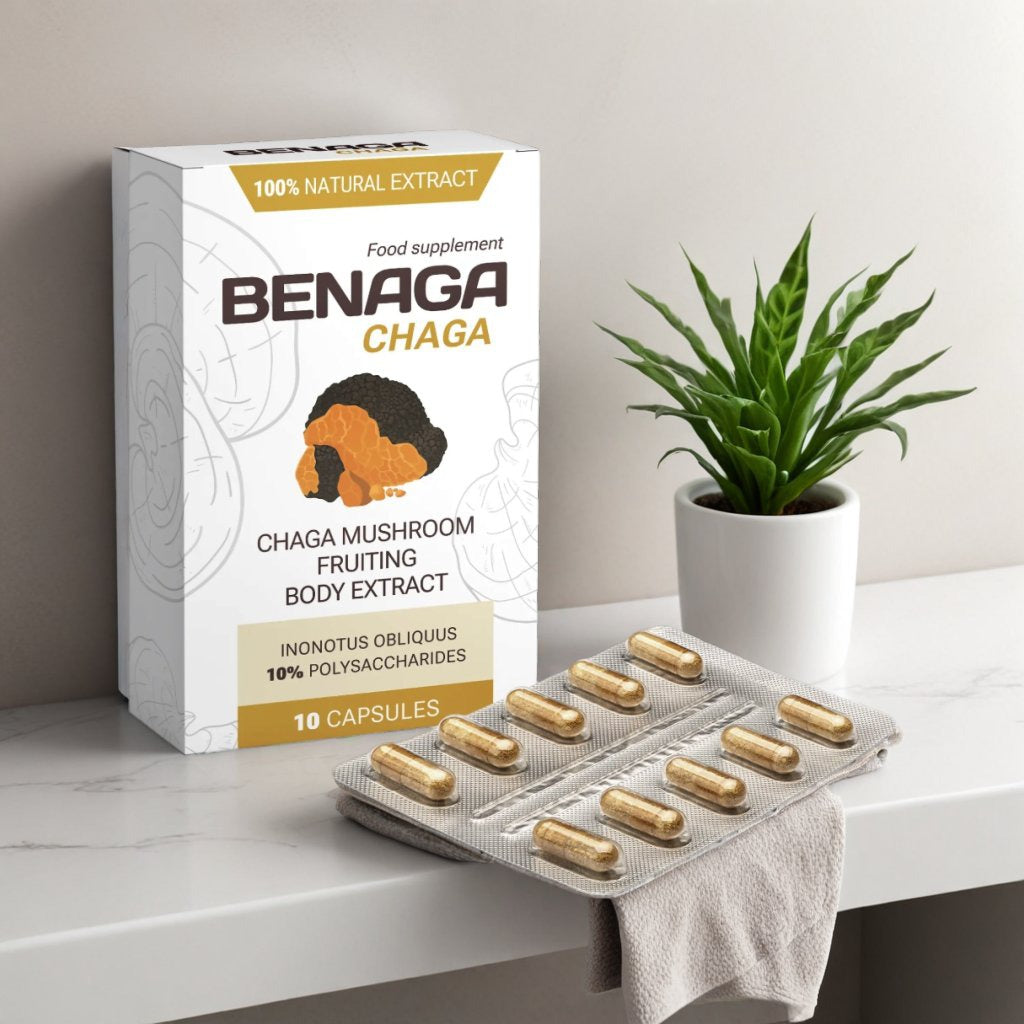 Benaga Chaga