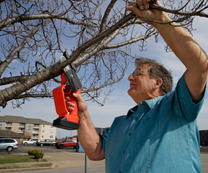 Minichain Saw a 79,99€