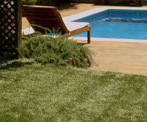 Aquagrazz a 19.906 HUF