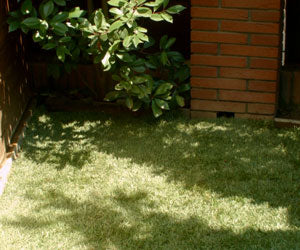 Aquagrazz a 214 PLN