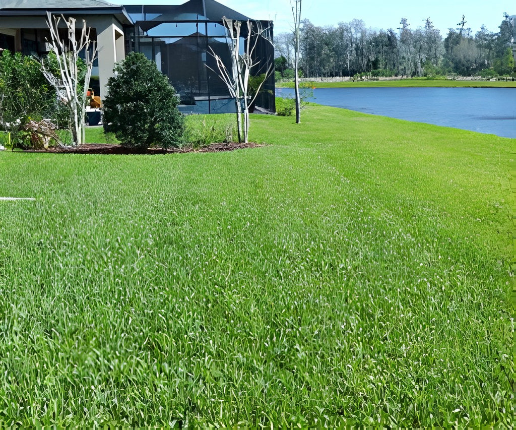 Grass Seed Mat a 23.888 HUF