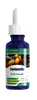 Fortunella
